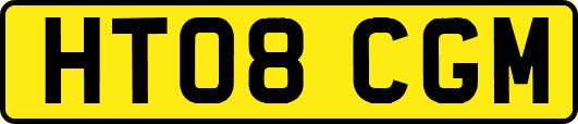 HT08CGM