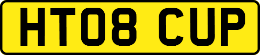 HT08CUP