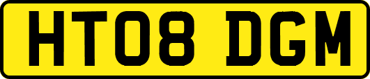 HT08DGM