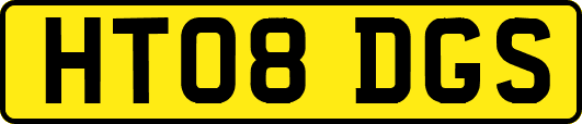 HT08DGS