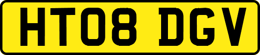 HT08DGV