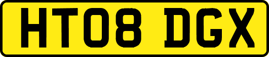 HT08DGX