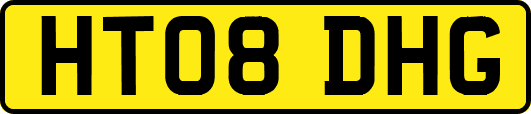 HT08DHG