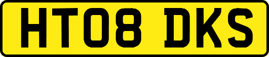 HT08DKS