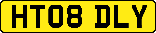 HT08DLY