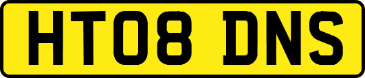 HT08DNS