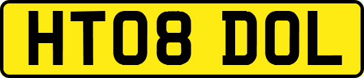 HT08DOL