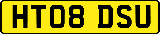 HT08DSU