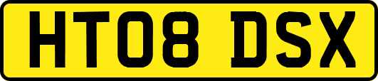 HT08DSX