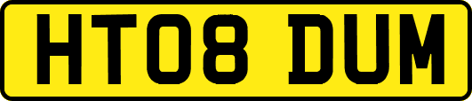 HT08DUM