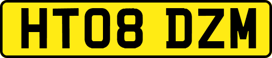 HT08DZM