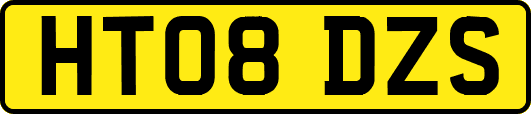 HT08DZS