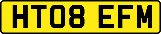 HT08EFM