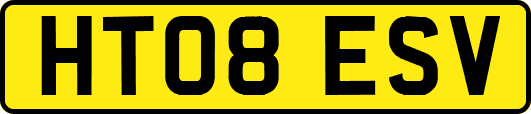 HT08ESV
