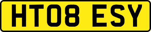 HT08ESY