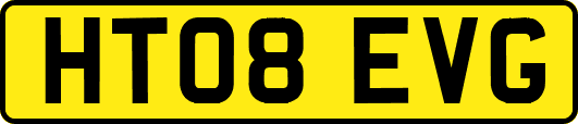 HT08EVG