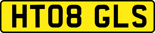 HT08GLS