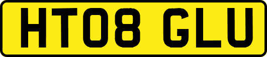 HT08GLU
