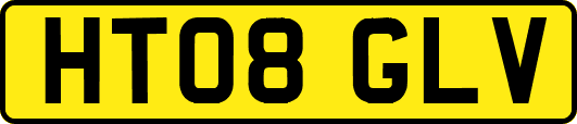 HT08GLV