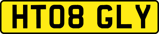 HT08GLY