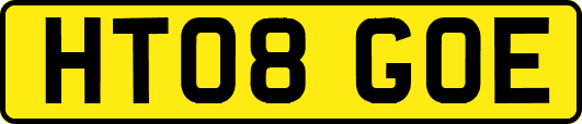 HT08GOE