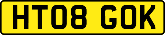 HT08GOK