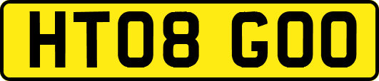 HT08GOO