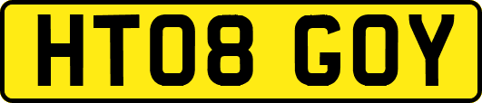 HT08GOY