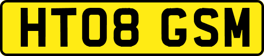 HT08GSM