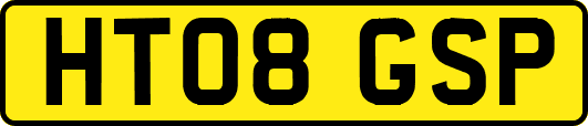 HT08GSP