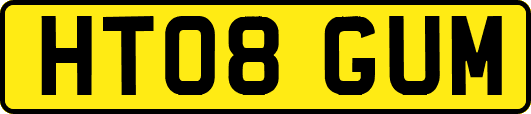 HT08GUM