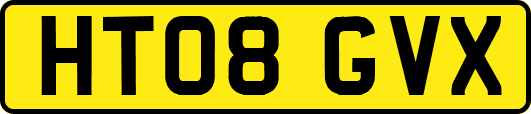 HT08GVX