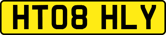 HT08HLY