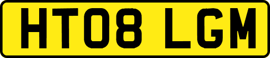 HT08LGM