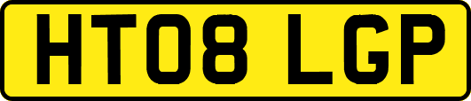 HT08LGP