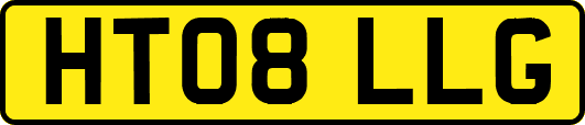 HT08LLG