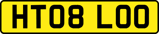HT08LOO