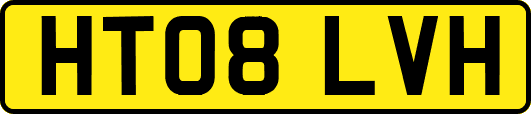 HT08LVH
