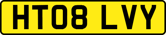 HT08LVY