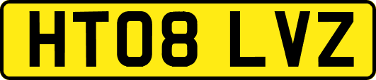 HT08LVZ