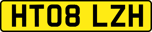 HT08LZH