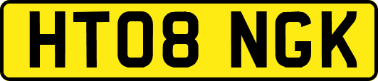 HT08NGK