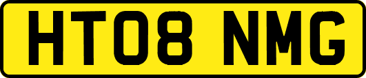 HT08NMG