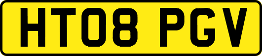 HT08PGV