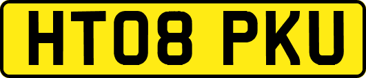 HT08PKU