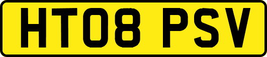 HT08PSV