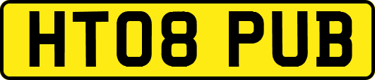 HT08PUB