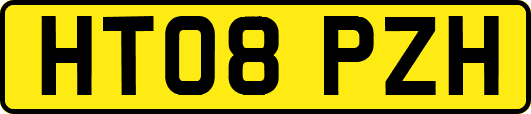 HT08PZH