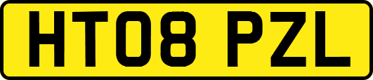 HT08PZL