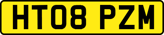HT08PZM